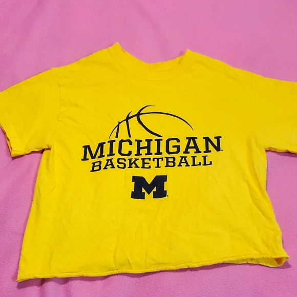 Gildan Michigan Basketball Crop Top - Picture 1 of 2